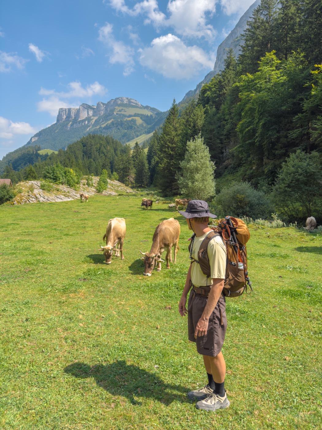 Hike & Create Alps