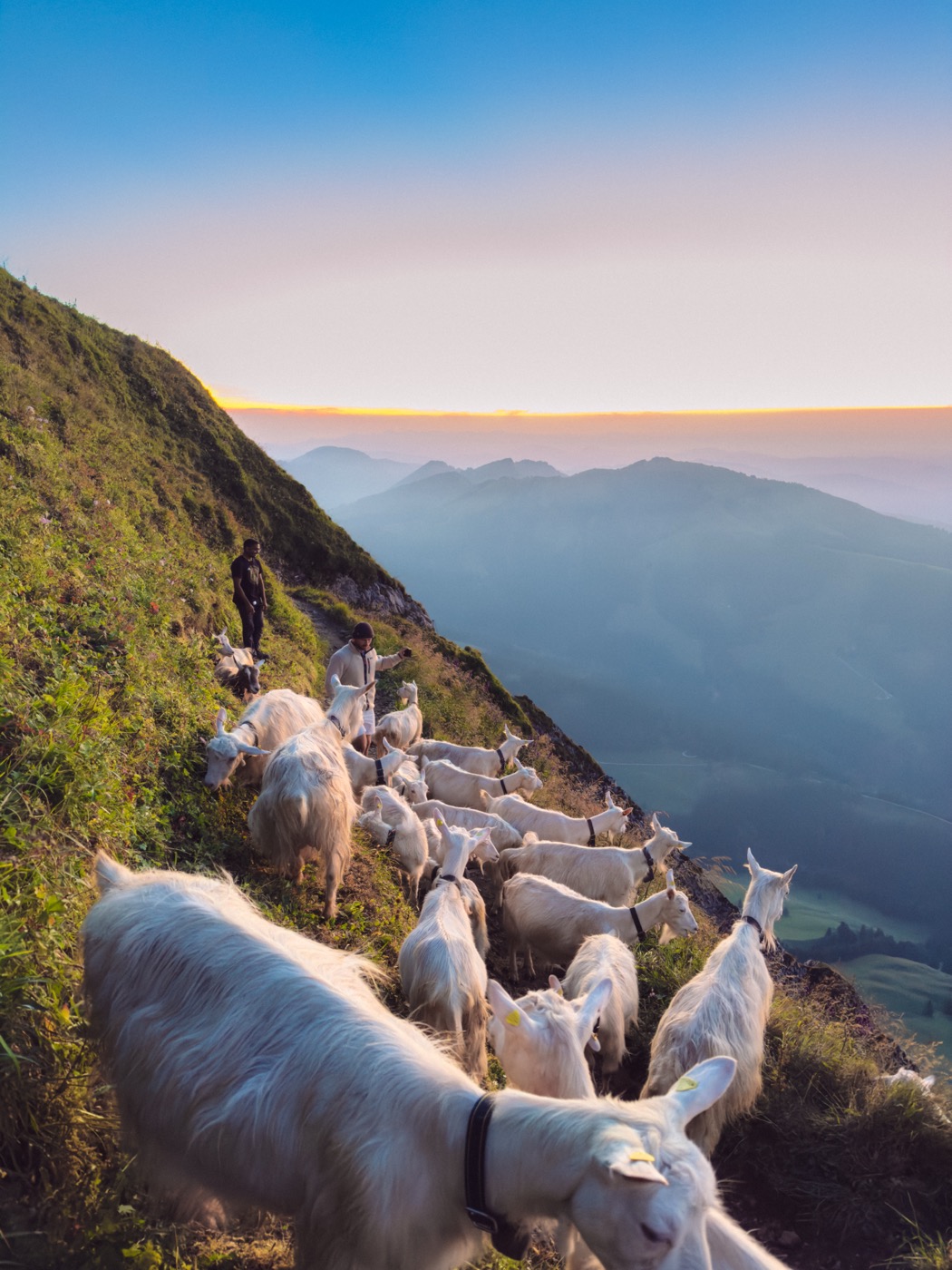 Hike & Create Alps